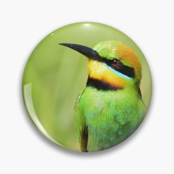 Item preview, Rainbow Bee Eater designed and sold by photosbymia.