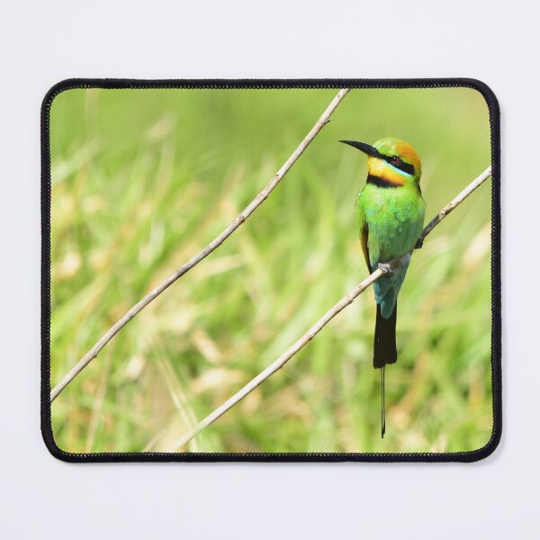 Item preview, Rainbow Bee Eater designed and sold by photosbymia.