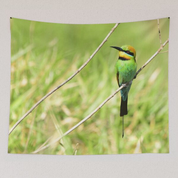 Item preview, Rainbow Bee Eater designed and sold by photosbymia.