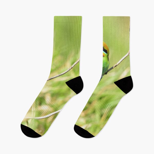 Item preview, Rainbow Bee Eater designed and sold by photosbymia.