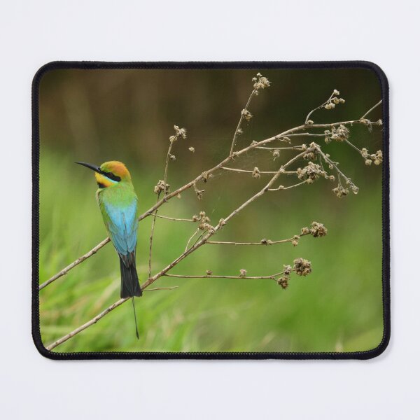 Item preview, Wet Rainbow designed and sold by photosbymia.