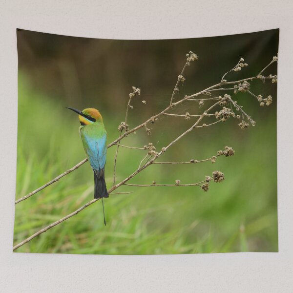 Item preview, Wet Rainbow designed and sold by photosbymia.
