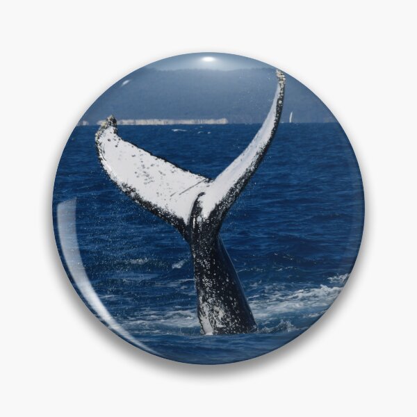 Item preview, A Whale of A Tail designed and sold by photosbymia.