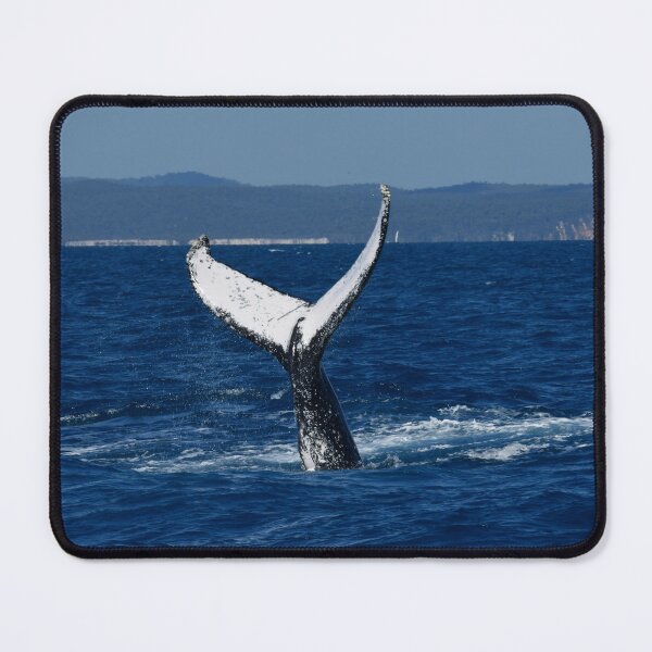 Item preview, A Whale of A Tail designed and sold by photosbymia.