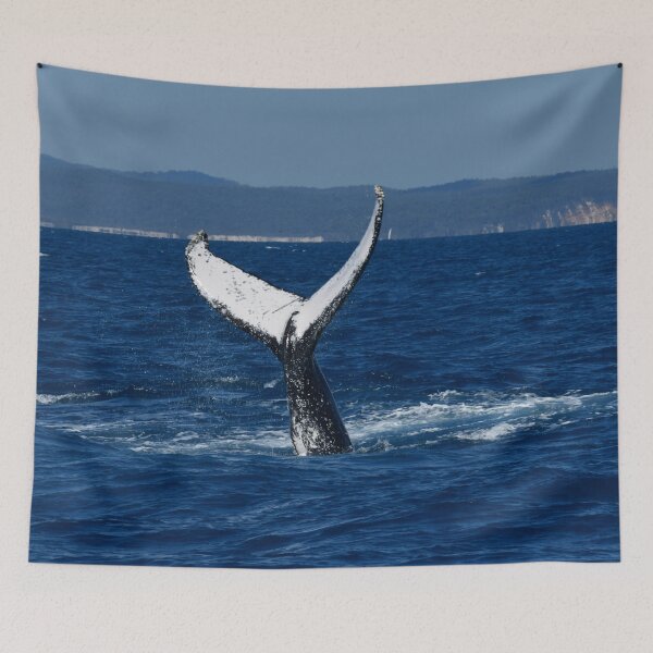 Item preview, A Whale of A Tail designed and sold by photosbymia.