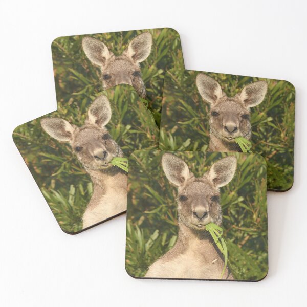 Item preview, Morning snack designed and sold by photosbymia.