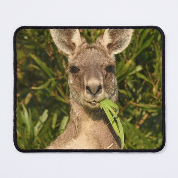 Item preview, Morning snack designed and sold by photosbymia.