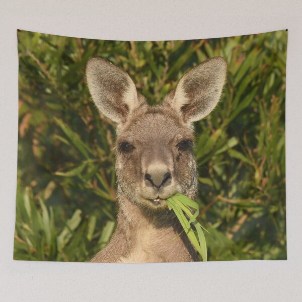 Item preview, Morning snack designed and sold by photosbymia.