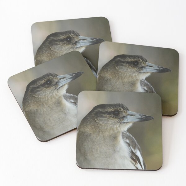 Item preview, Butcher Bird designed and sold by photosbymia.