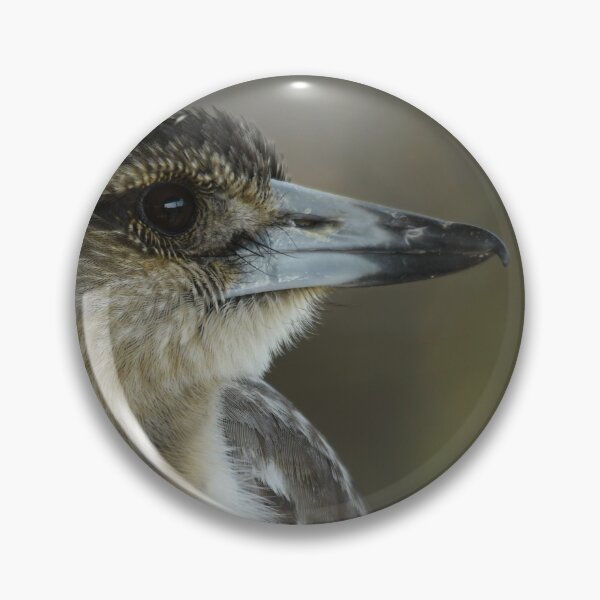 Item preview, Butcher Bird designed and sold by photosbymia.