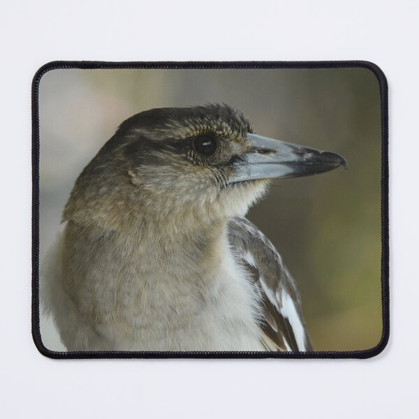 Item preview, Butcher Bird designed and sold by photosbymia.