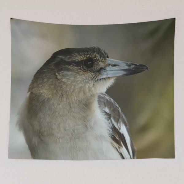 Item preview, Butcher Bird designed and sold by photosbymia.