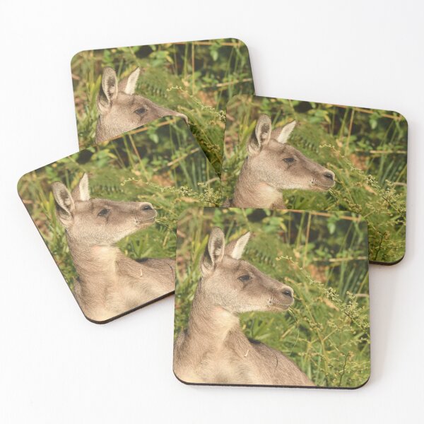 Item preview, Early Kanga light designed and sold by photosbymia.
