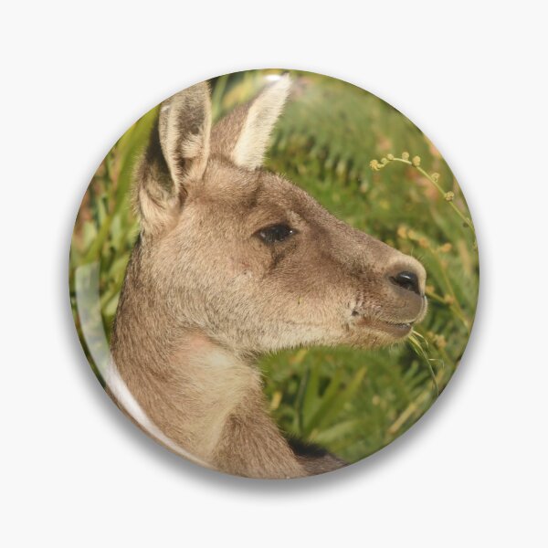Item preview, Early Kanga light designed and sold by photosbymia.