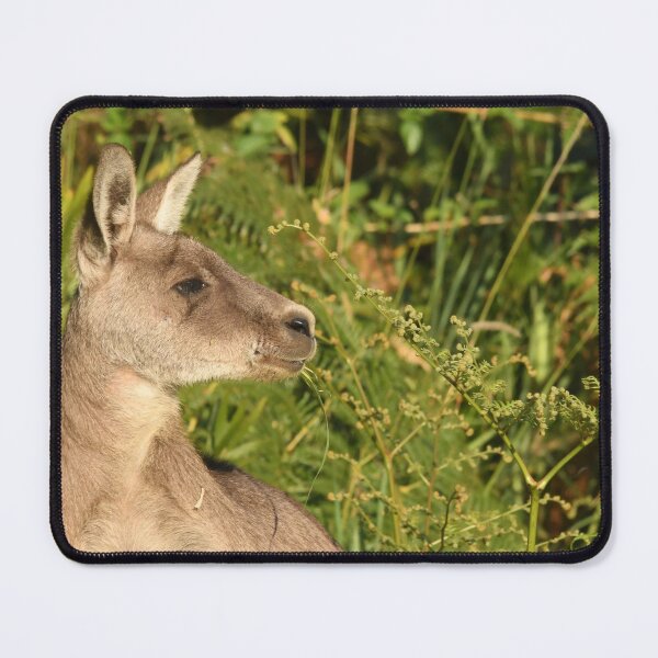 Item preview, Early Kanga light designed and sold by photosbymia.