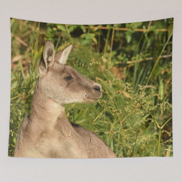 Item preview, Early Kanga light designed and sold by photosbymia.