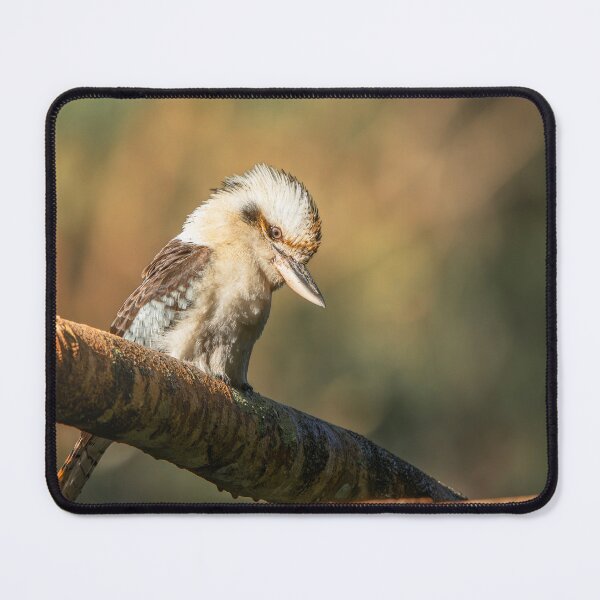 Item preview, Laughing Kookaburra designed and sold by robdwildlife.