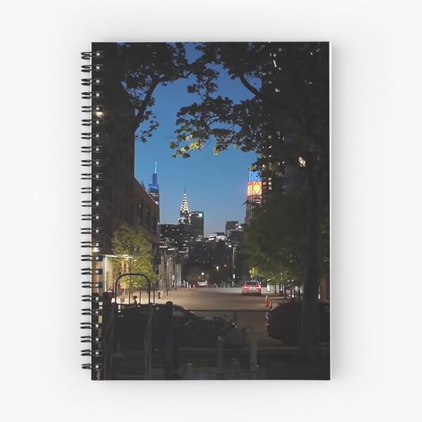 Item preview, I found the sweet spot in Greenpoint Park designed and sold by NYConlineStore.