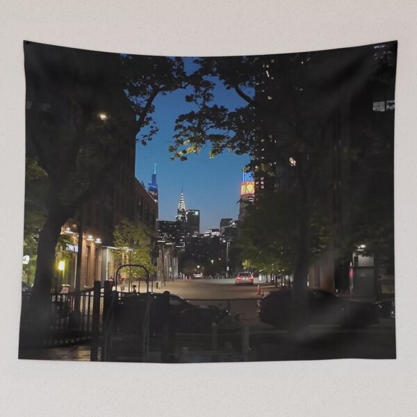 Item preview, I found the sweet spot in Greenpoint Park designed and sold by NYConlineStore.