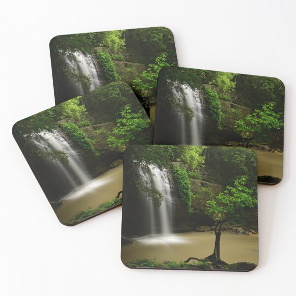 Item preview, Arbolito Buderim designed and sold by photosbymia.