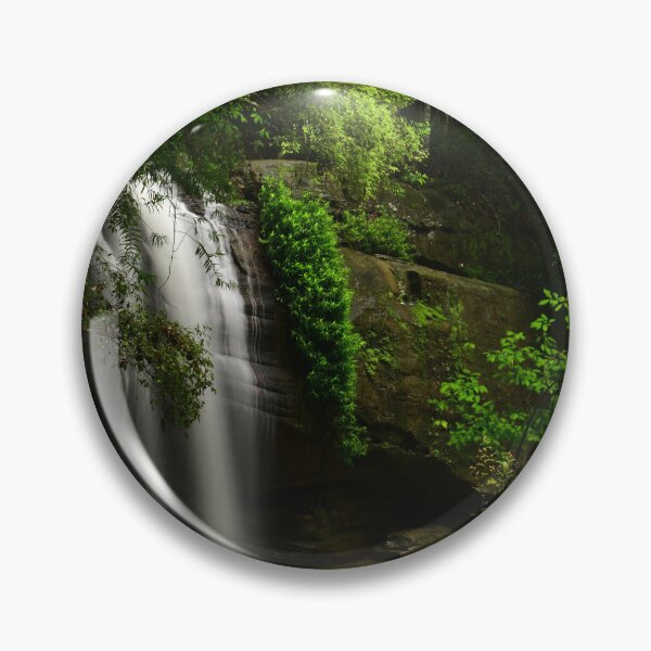 Item preview, Buderim Little Tree designed and sold by photosbymia.