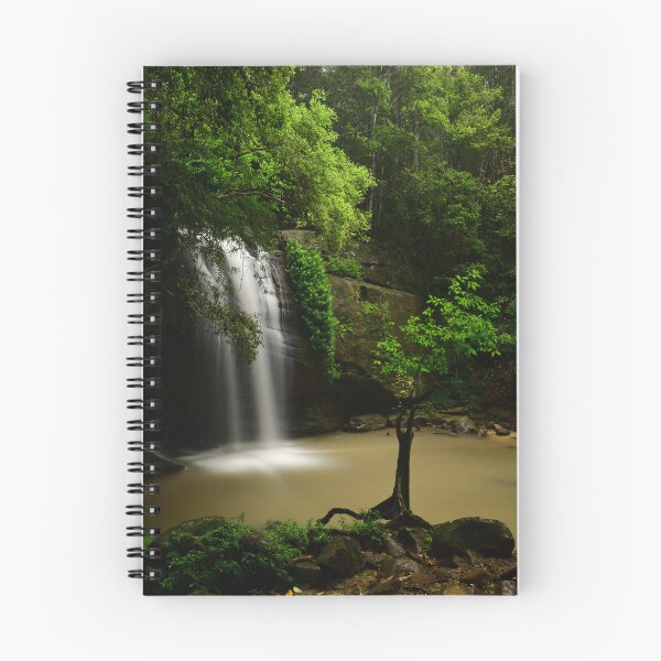 Item preview, Buderim Little Tree designed and sold by photosbymia.