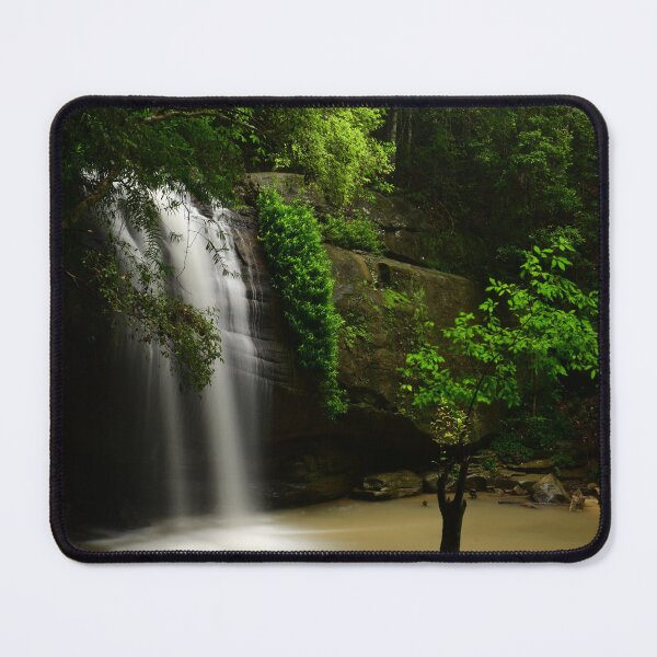 Item preview, Buderim Little Tree designed and sold by photosbymia.