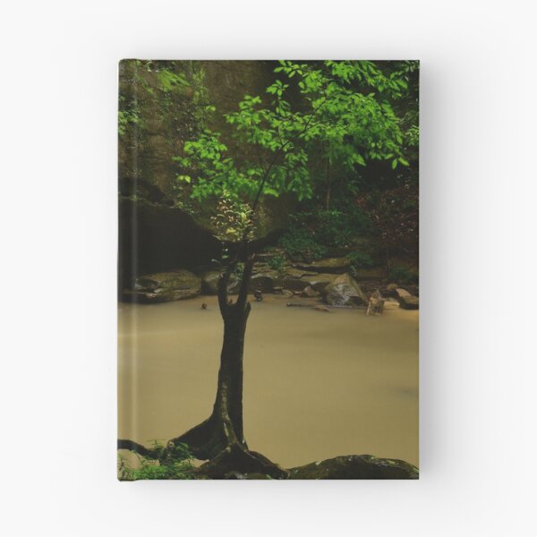 Item preview, Buderim Little Tree designed and sold by photosbymia.