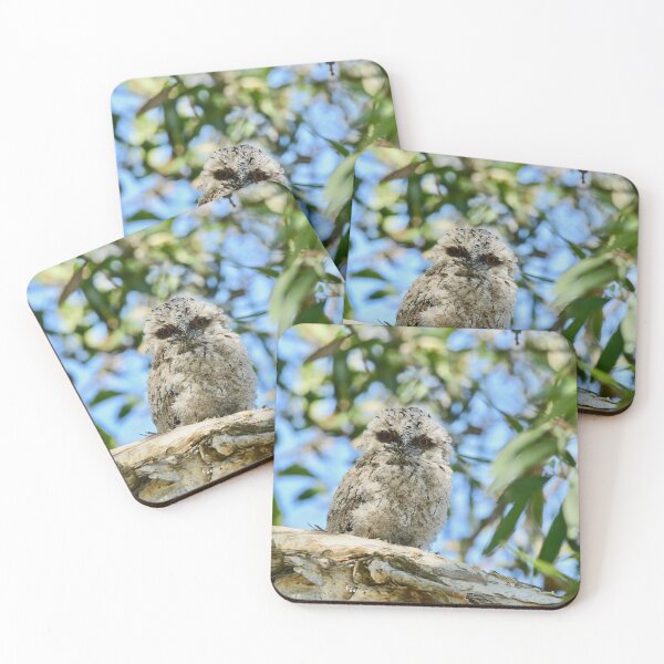 Item preview, Fluffball on a branch designed and sold by photosbymia.