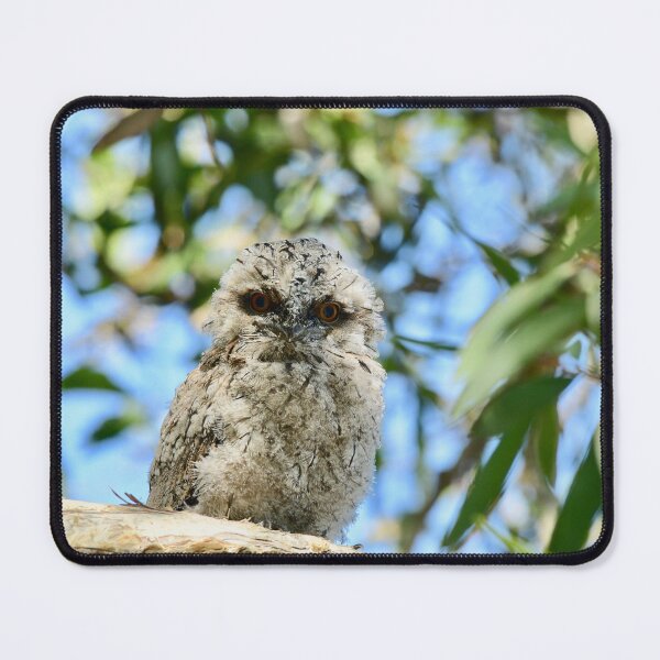 Item preview, Fluffball on a branch designed and sold by photosbymia.