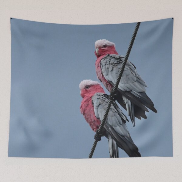 Item preview, High on the wire designed and sold by photosbymia.