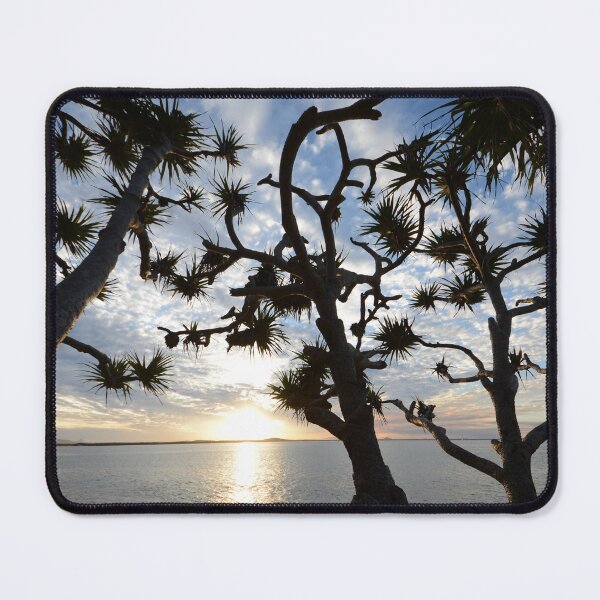 Item preview, Pandanus Grove designed and sold by photosbymia.