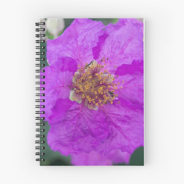 Item preview, Queen's Crape Myrtle designed and sold by ROSE ANN BANILAR.