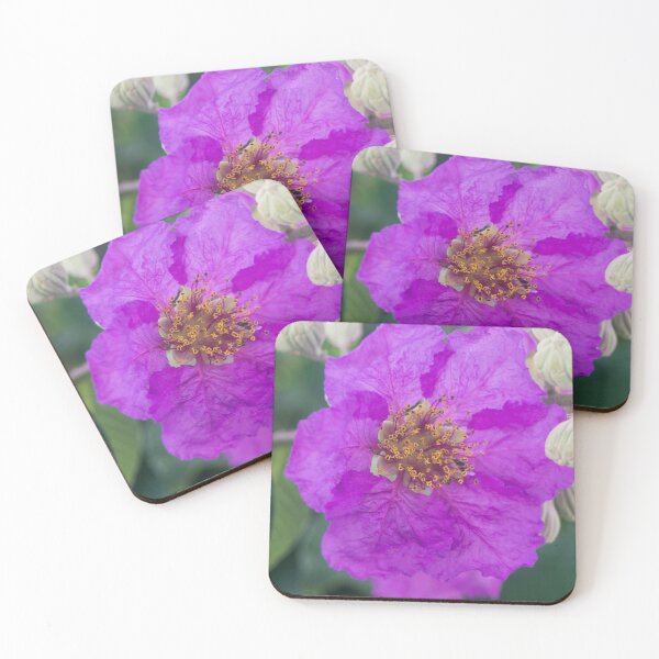 Item preview, Queen's Crape Myrtle designed and sold by ROSE ANN BANILAR.