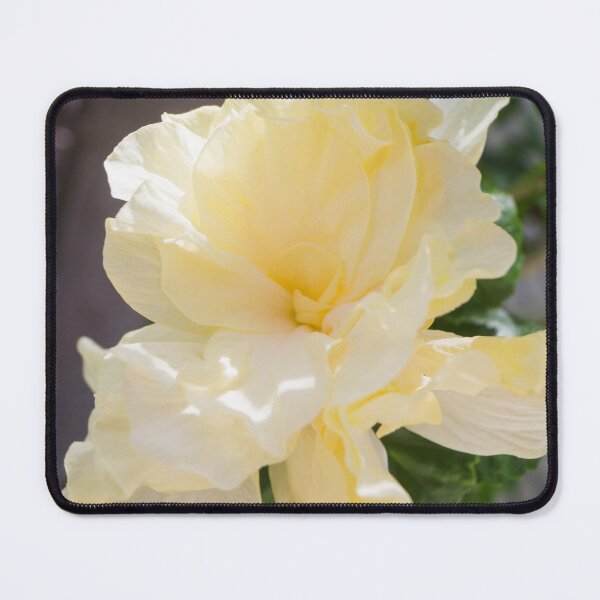 Item preview, yellow double hibiscus designed and sold by ROSE ANN BANILAR.