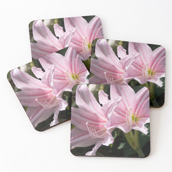 Item preview, Amaryllis_02 designed and sold by ROSE ANN BANILAR.