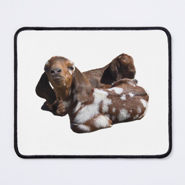 Item preview, I am to cool to ba a goat designed and sold by Joysfuntime.