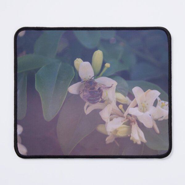 Item preview, blue-banded bee designed and sold by ROSE ANN BANILAR.