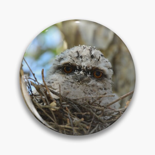 Item preview, Disturbed Sleep designed and sold by photosbymia.