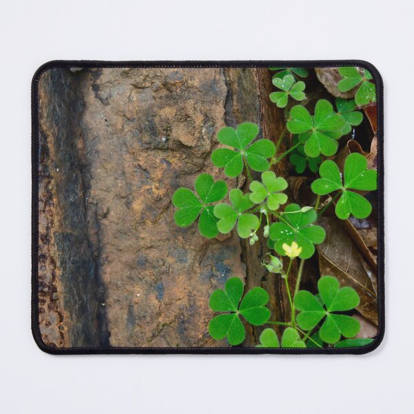 Item preview, Clover and Rails designed and sold by photosbymia.
