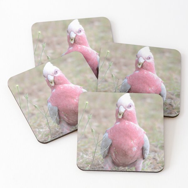 Item preview, Multi-tasking designed and sold by photosbymia.
