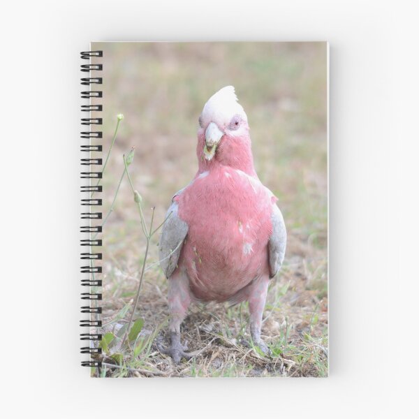 Item preview, Multi-tasking designed and sold by photosbymia.