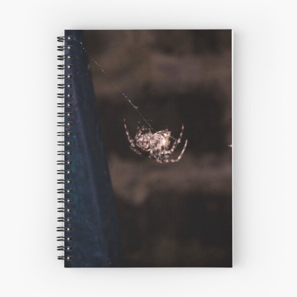 Item preview, the cross spider or diadem spider designed and sold by ROSE ANN BANILAR.