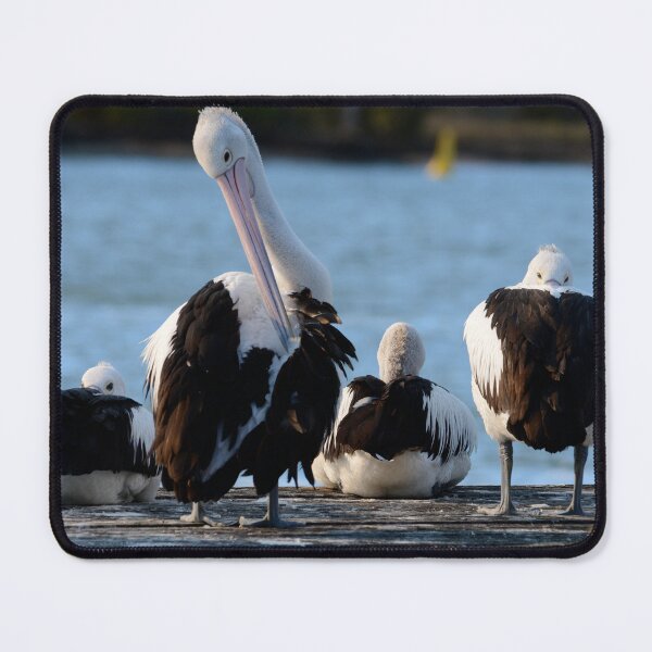 Item preview, Jetty Life designed and sold by photosbymia.