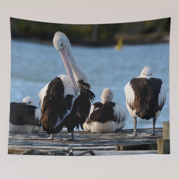 Item preview, Jetty Life designed and sold by photosbymia.