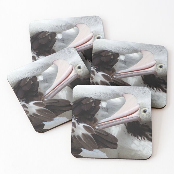 Item preview, Pelican Preening designed and sold by photosbymia.