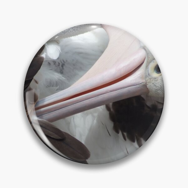 Item preview, Pelican Preening designed and sold by photosbymia.