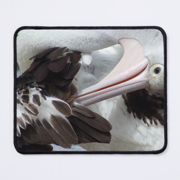 Item preview, Pelican Preening designed and sold by photosbymia.
