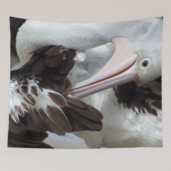 Item preview, Pelican Preening designed and sold by photosbymia.