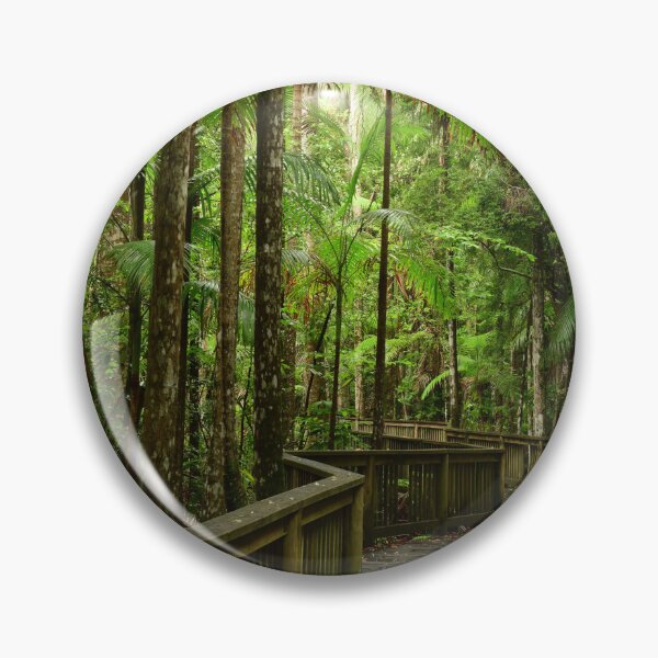 Item preview, Boardwalk through the rain forest designed and sold by photosbymia.